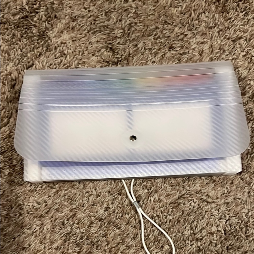 Translucent Accordion File Organizer